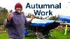 Autumnal Work Geeky Video 3