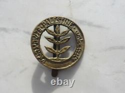 Palestine Israel Rare WWII Original Jewish Brigade Hat Badge Judaica