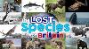 The Lost Species Of Britain Extinct Animals In The Uk